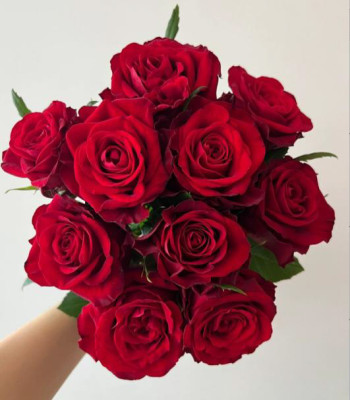 Одноголовые розы Adore