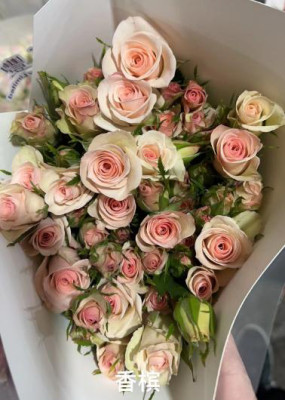 Розы кустовые Champagne