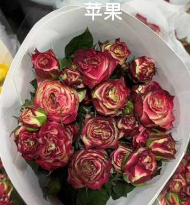 Розы кустовые Green apple jam