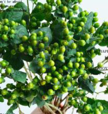 Цветы в ассортименте Hypericum green