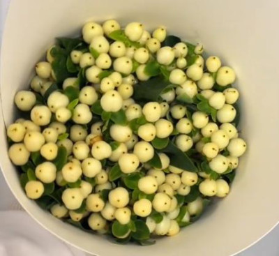 Цветы в ассортименте Hypericum white