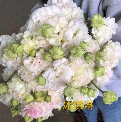 Эустома Ice Cream