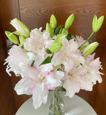 Лилии Ice Queen 4+