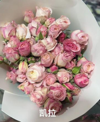 Розы кустовые Kayla