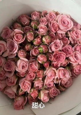 Розы кустовые light pink （sweetheart）