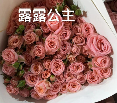 Розы кустовые lulu princess