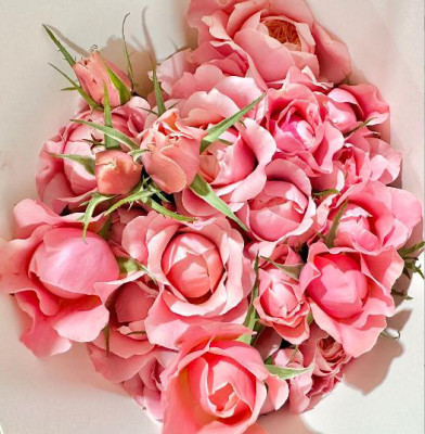 Розы кустовые Mikito