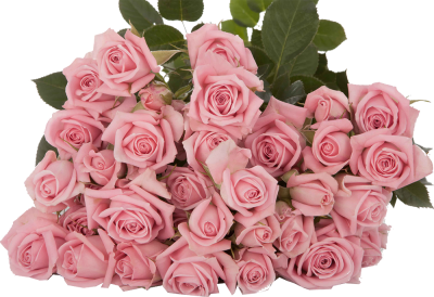 Розы кустовые Odilia