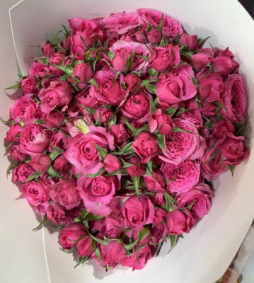 Розы кустовые Sophie