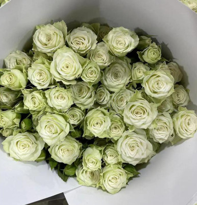 Розы кустовые Starry