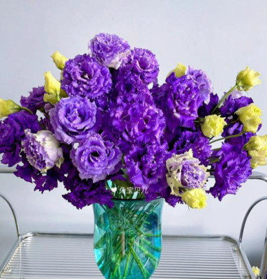 Эустома Wave purple